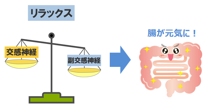 副交感神経が働けば腸が動く