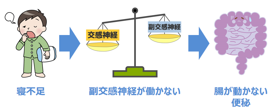 寝不足が便秘につながる理由