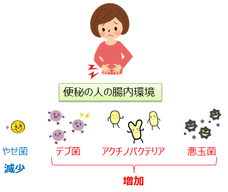 便秘の人の腸内フローラ