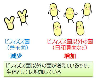 アクチのバクテリアの内訳