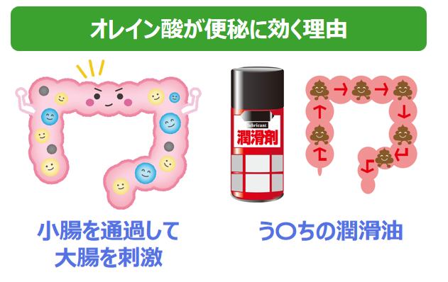 オレイン酸が便秘に効く理由