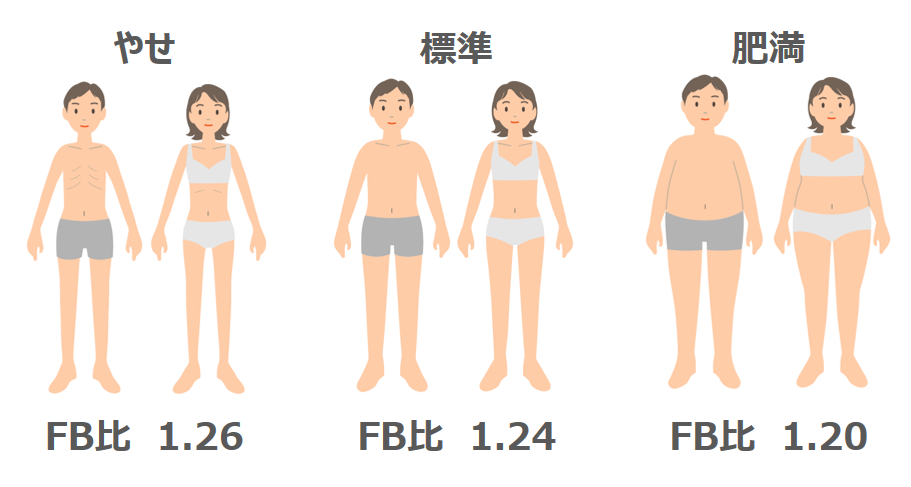 日本人の肥満度とFB比の関係