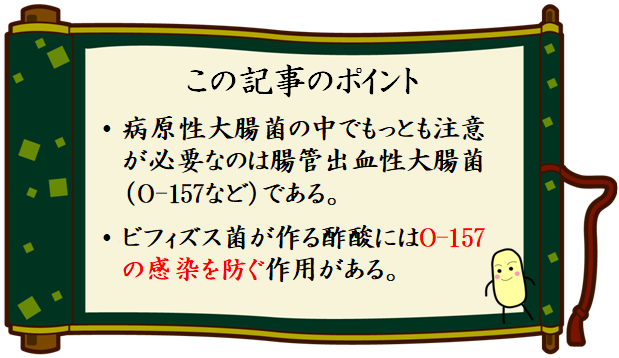 この記事のポイント