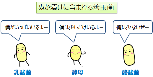 ぬか漬けに含まれる善玉菌