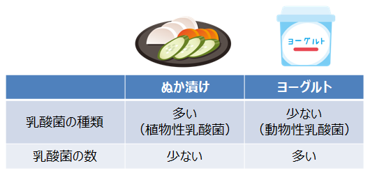 乳酸菌の数の比較